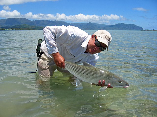 745161337303_0_BG[1]