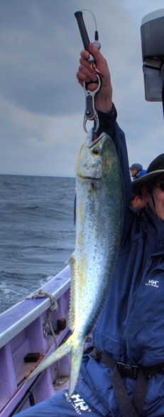 P5304312_3_4_tonemapped-1