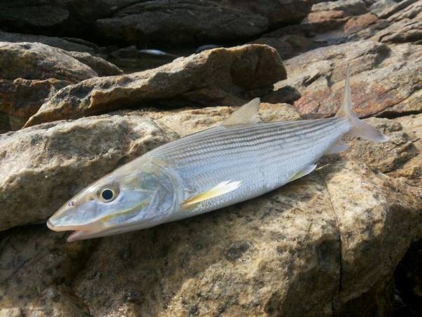 1394914_10201320369664788_2086168169_n